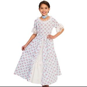 NWT Marie Antoinette or Colonial Dress